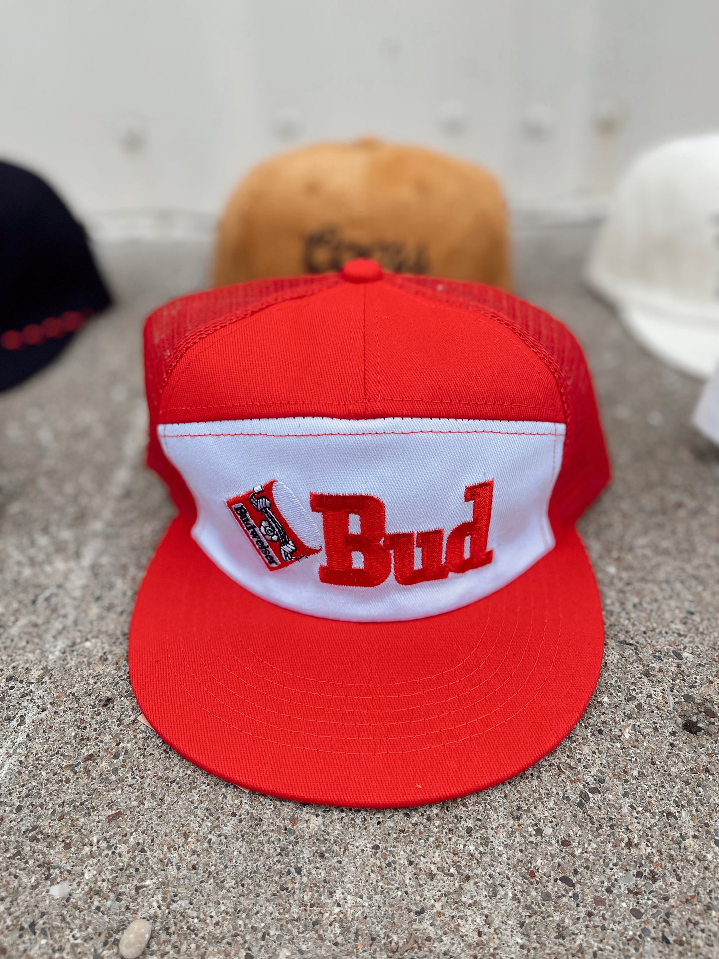 Bud 6 Panel SnapBack